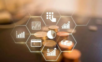 你是 互聯網大咖 裝修專家 or 時尚辣媽 在深圳就能綻放創業之花